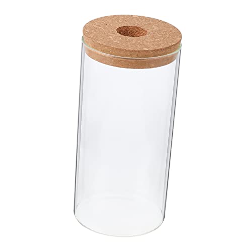 Abaodam Borosilikatglas Ökologischer Flasche Anlage Landschaftsbehälter Luftpflanzenterrarium Ökologische Glasflasche Mikro-landschaftspflanzerflasche Pflanzenflasche Aus Glas Transparent von Abaodam