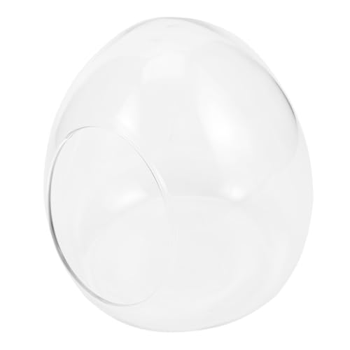 Abaodam Brucea Ökologische Flasche Container Pflanzen Wohnkultur Kräutertöpfe Für Den Innenbereich Dekorative Flasche Moos Ökologische Flasche Drinnen Anlage Terrarien Mikroflasche Glas Abaodam Brucea Ökologische Flasche Container Pflanzen Wohnkultur Kräutertöpfe Für Den Innenbereich Dekorative Flasche Moos Ökologische Flasche Drinnen Anlage Terrarien Mikroflasche Glas von Abaodam