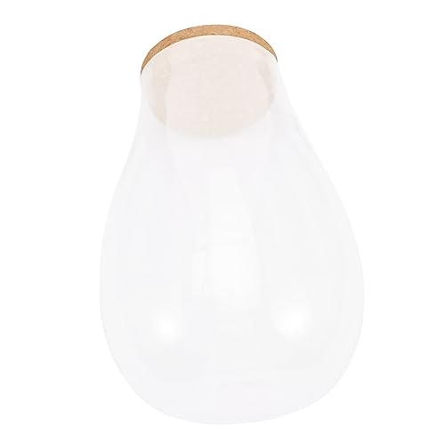 Abaodam Moos Ökologische Flasche Selbstgemacht Terrarium Hydrokultur Pflanze Container Anzuchtstation für Bryophyten Transparentes Design für Indoor Gartenpflege von Abaodam