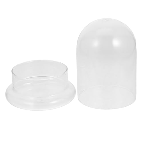 Abaodam DIY Mikrolandschaftsflasche Ökologische Terrarium Flasche für Moos und Pflanzen Dekorative Glasglocke für Innen und Außendekoration mit Öffnung von Abaodam