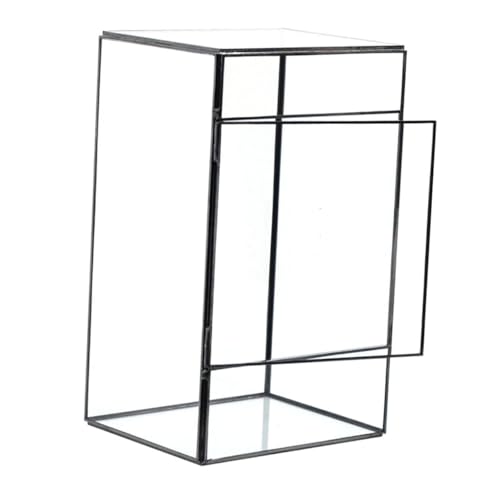 Abaodam Desktop -Landschaftstank drinnen Pflanzen rechteckig Anlage selbst DIY-Terrarium Landschaftsbehälter Terrarienmoos Ökologischer Mooshalter leeres Terrarium Glas von Abaodam