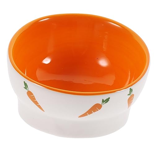 Abaodam Erhöhte Katzenschüssel Mit Schrägem Design Keramische Futterschale Für Katzen rutschfest Erbrechen Multi Use Pet Bowl Für Katzen Und Welpen von Abaodam