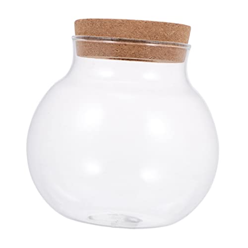 Abaodam Glas Pflanze Behälter Für Desktop-Dekoration Ökosystem Terrarium Schönes Glas Außenbehälter Für Moos Mit Deckel von Abaodam