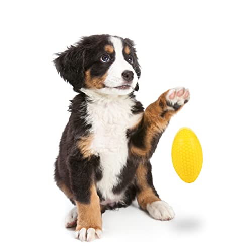 Abaodam Fußballspielzeug Für Hunde Molar Hundeball Reinigung Hundespielzeug Kauspielzeug Rugby Haustierspielzeug Haustierspielzeug Gelbe Emulsion von Abaodam
