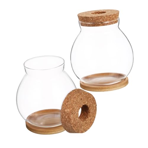 Abaodam Glas-Pflanzgefäß, Hydrokultur-Glas-Pflanzgefäß, Terrarium mit Bambus-Tablett und Deckel, für den Innenbereich, elegante Anzuchtstation für Frauen, Mütter, einfache Wartung, 2 Sets von Abaodam