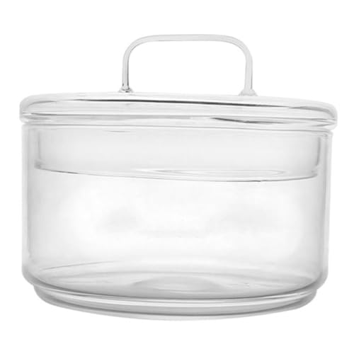 Abaodam Glas Terrarium Vase mit Deckel DIY Ökologische Mikrolandschaft Pflanzgefäß für Moos und Pflanzen Transparentes Hydroponik Glasgefäß für Zimmerdekoration und Tischdeko von Abaodam