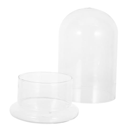 Abaodam Glass Terrarium Jar Transparent Bubble Bowl für DIY Mikrolandschaft Hydroponisches Pflanzgefäß Praktisch Tragbar für Desktop Pflanzen und Moos von Abaodam