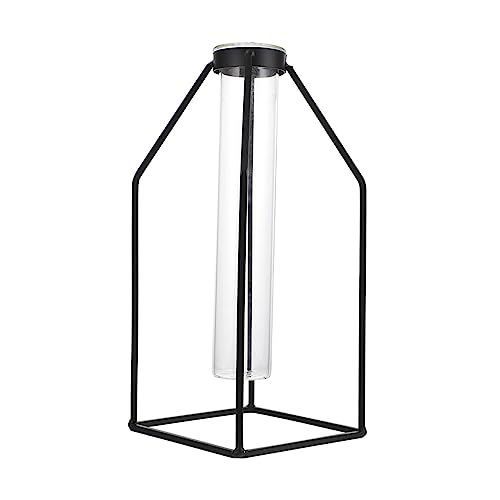 Abaodam Glasvase Mit Gestell Praktische Glasvase Für Zuhause Aus Hochwertigem Glas Und Eisen Robust Und Langlebig Für Hydrokulturpflanzen Abaodam Glasvase Mit Gestell Praktische Glasvase Für Zuhause Aus Hochwertigem Glas Und Eisen Robust Und Langlebig Für Hydrokulturpflanzen von Abaodam