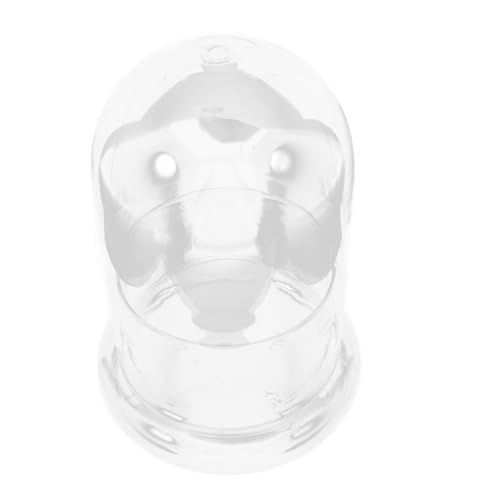 Abaodam Großes Ökologisches Glasflaschen Terrarium Mikrolandschaft DIY Pflanzgefäß für Schreibtisch Dekoration Flaschengarten Design Leicht und für Innenräume von Abaodam