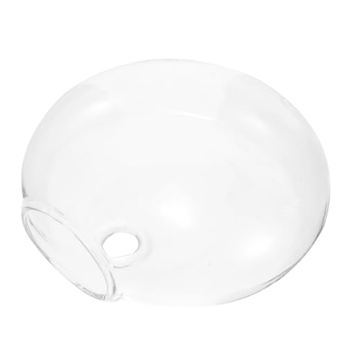 Abaodam Hängender Glasblumenvase Transparente Wanddeko Dekorativer Pflanzentopf Für Blumen Und Pflanzen Glas-hängevase Für Raumgestaltung Hängedekoration von Abaodam
