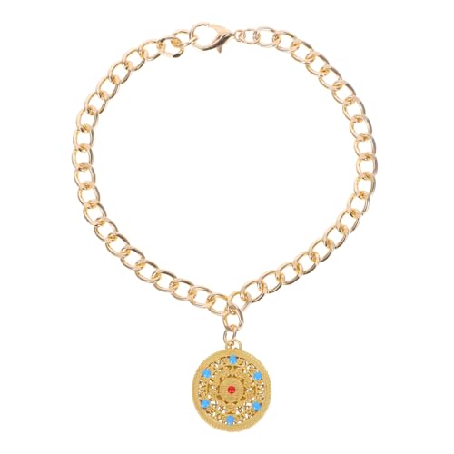 Abaodam Halskette Mit Metallschloss Anhänger Für Haustiere Hundehalsband Langlebigkeitsschloss Anhänger Charm Chinesischer Neujahrsanhänger Chinesischer Schmuck Neujahr von Abaodam