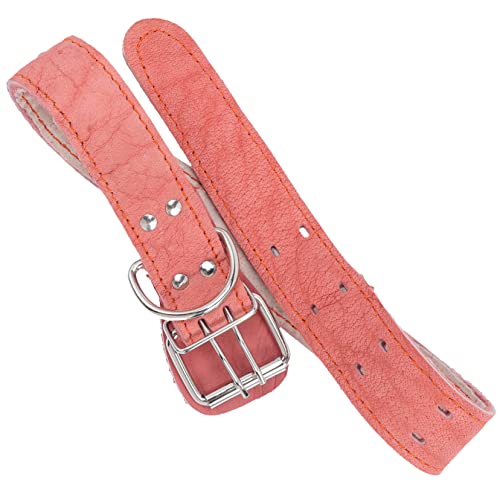 Abaodam Haustierhalsband Hundehalsbekleidung Geschmeidiges Hundehalsband Graviert Weich Groß Dekoratives Hundehalsband Hochzeit Für Den Look Mit Ausgefallenem Welpen Haustier von Abaodam
