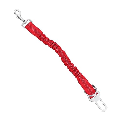 Abaodam Haustierleine sicherungsgurt pet Supplies Hundegeschirr hundetraining hundegurt reflektierend Hund führt Ausbildung Hundespaziergang Welpenleinenzubehör hoher elastischer Bund rot von Abaodam