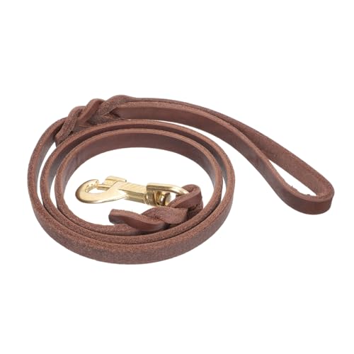 Abaodam Hundeleine Ausbildung Hundespaziergang Seilleine für große Hunde co für Hunde klein pet Supplies bodentrampolin Outdoor tragbare Welpenleine verschleißfeste Haustierleine Eisen rot von Abaodam