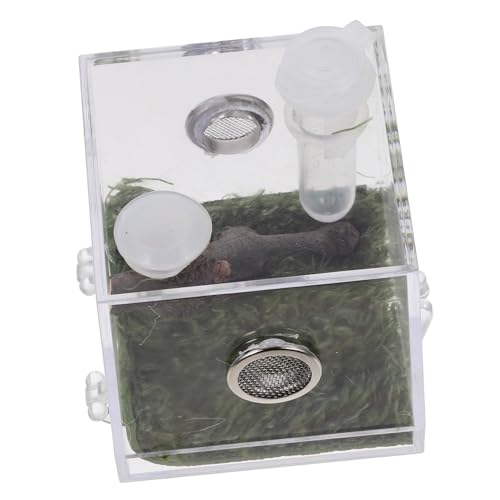 Abaodam Kasten Springspinnen-zuchtbox Spinnenfütterungsterrarium Springspinnen-Terrarium Lebensraum Fall Luftbefeuchter Transparenter Springspinnenkäfig Spinnenzuchtfall Gehäuse Tank Acryl von Abaodam