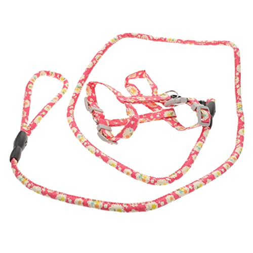 Abaodam Katzengeschirr Für Katzen Und Kleine Verstellbare Leine Ausbruchsicher Für Outdoor Aktivitäten Lebhaftem Mit Blumenmuster Abaodam Katzengeschirr Für Katzen Und Kleine Verstellbare Leine Ausbruchsicher Für Outdoor Aktivitäten Lebhaftem Mit Blumenmuster von Abaodam