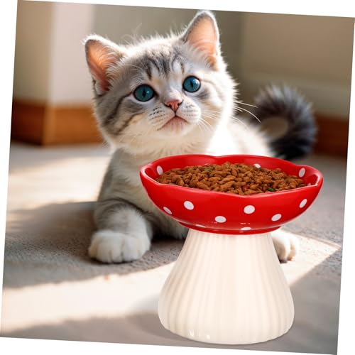 Abaodam Keramik Katzennapf mit Pilzdesign Erhöht Breiter Flacher Futternapf zur Vermeidung von Schnurrhaarmüdigkeit Einfach zu Reinigen Stilvoller Katzen Futterschüssel Haustier Abaodam Keramik Katzennapf mit Pilzdesign Erhöht Breiter Flacher Futternapf zur Vermeidung von Schnurrhaarmüdigkeit Einfach zu Reinigen Stilvoller Katzen Futterschüssel Haustier von Abaodam