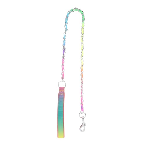 Abaodam Kettenleine im Freien Hunde für Haustiere kaubar Haustierbedarf Nicht Dog Lead Dog Accessories Robustes Kettenleinenwerkzeug praktische Welpenleine Rostfreier Stahl von Abaodam