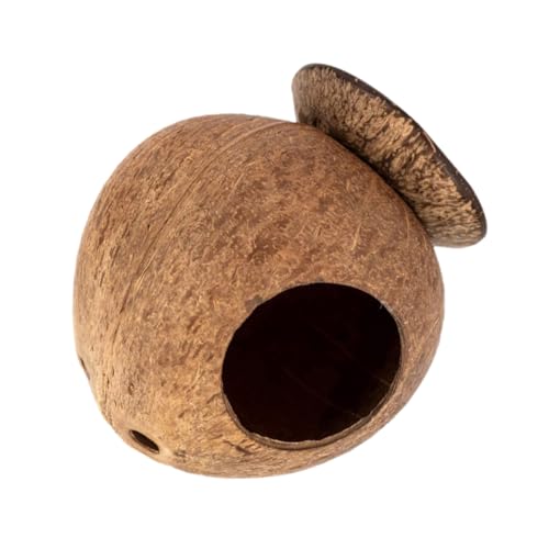 Abaodam Kleines Haustierschlafhaus für Hamster und Bissbeständiges Nest aus Natürlichem Material Warm und Gemütlich für Kleine für Ratten von Abaodam