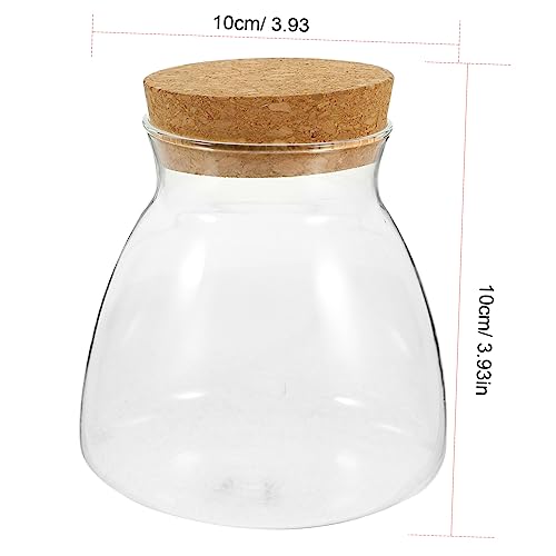 Abaodam Kleines Terrarium mit Offenem Zugang Transparentes Micro Landscape Terrarium für Hydroponikpflanzen Aquarium und Dekorativer Pflanzbehälter für Zuhause und DIY von Abaodam