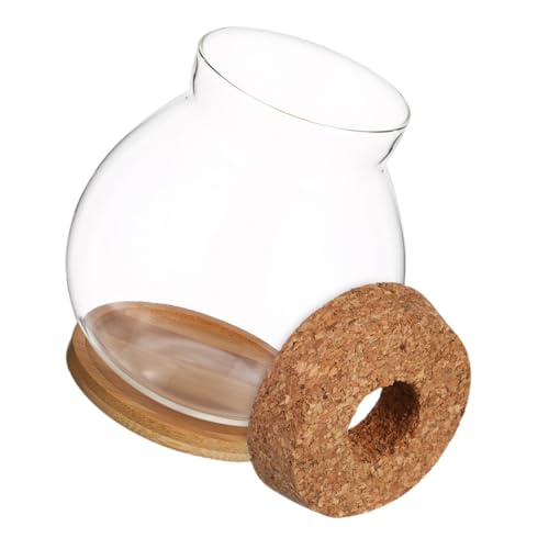 Abaodam Kompaktes Aquarium mit Elegantem Holzdeckel Transparentes Hydroponik Fischbecken für Betta Fische Kleines Terrarium für Schreibtisch Büro und Deko von Abaodam