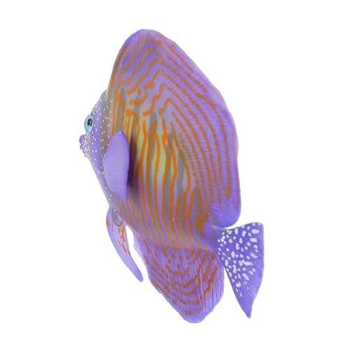 Abaodam Künstliche Fische aus Umweltfreundlichem Kunststoff Langlebige Aquarium Deko für Fischbecken und Garnelenaquarien Schadstofffrei Einfache Pflege Lebendige Wasserlandschaft von Abaodam