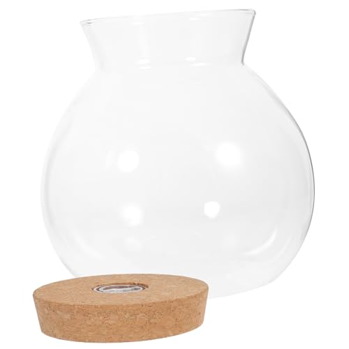 Abaodam LED Ökologische Glasflasche mit LED Licht Praktische Fischtank Landschaftsflasche aus Borosilikatglas für DIY Mikrolandschaften und Wohnkultur Dekorativ und Langlebig von Abaodam