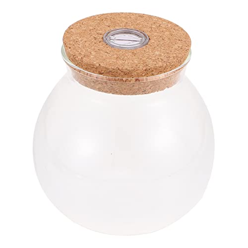 Abaodam Micro Landscape DIY Flasche mit LED Licht Terrarium für Pflanzenliebhaber Vielseitig Einsetzbar zur Raumdekoration Transparentes Design für Landschaften Abaodam Micro Landscape DIY Flasche mit LED Licht Terrarium für Pflanzenliebhaber Vielseitig Einsetzbar zur Raumdekoration Transparentes Design für Landschaften von Abaodam