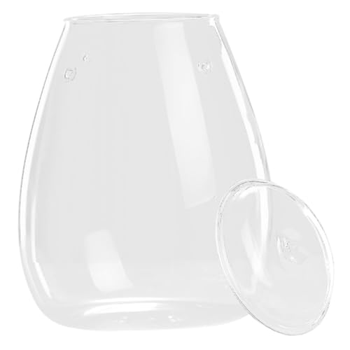 Abaodam Mikro-Landschaftsflasche, leeres Glas-Terrarium für Pflanzen für Heimdekoration und Indoor-Gartenarbeit von Abaodam