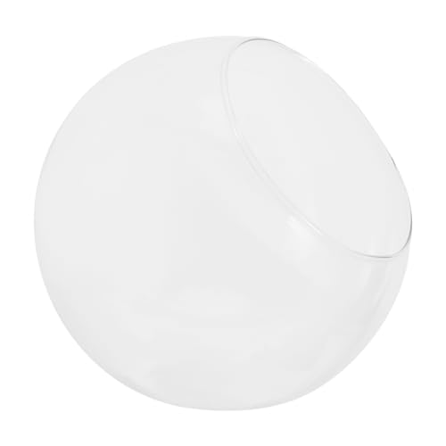 Abaodam Mikrolandschaftsvase Aus Glas Fischglasvase Terrarienglas Terrarienschale Hydrokultur-töpfe Fischglas Aus Glas Bubble -schüssel Terrarienkugel Landschaft Flasche Transparent von Abaodam