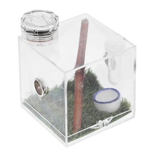 Abaodam Mini Spider Habitat Box mit Lampenlicht Tragbarer Sprungspinnen Breeding Carrier aus Langlebigem Material Transparente Futter und Transportbox für Kleine Insekten und Spinnen für Abaodam Mini Spider Habitat Box mit Lampenlicht Tragbarer Sprungspinnen Breeding Carrier aus Langlebigem Material Transparente Futter und Transportbox für Kleine Insekten und Spinnen für von Abaodam
