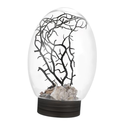 Abaodam Mini Tisch Aquarium mit LED Beleuchtung Ökologisches Desktop Aquarium für Wohnkultur Pflegeleicht und Dekorativ für Wohnzimmer und Schreibtisch Abaodam Mini Tisch Aquarium mit LED Beleuchtung Ökologisches Desktop Aquarium für Wohnkultur Pflegeleicht und Dekorativ für Wohnzimmer und Schreibtisch von Abaodam