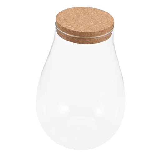 Abaodam Moos-Öko-Flasche ökologische Mikrolandschaftsflasche Terrarienglas Pflanze Terrarium Glas Terrariumbehälter Mini Landschaft Flaschendekoration Desktop -Glas -Terrarium hölzern Abaodam Moos-Öko-Flasche ökologische Mikrolandschaftsflasche Terrarienglas Pflanze Terrarium Glas Terrariumbehälter Mini Landschaft Flaschendekoration Desktop -Glas -Terrarium hölzern von Abaodam