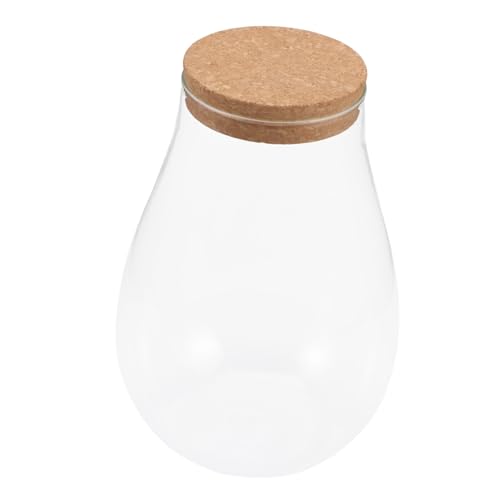 Abaodam Moos-Öko-Flasche zimmerpflanzen Sustainability Pflanzenbehälter Café-Dekoration vases Pflanzenglas-Terrarium Terrarienglas ökologische Flasche Bryophyten-Landschaftsflasche hölzern von Abaodam