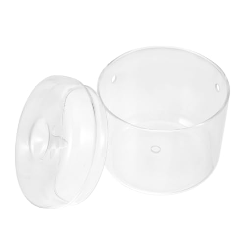 Abaodam Moos Ökologische Vase Pflanze Transparente Flasche Mikro Landschaftsbehälter Ökologische Flasche Hydroponische Vase Landschaftsflasche Mikro Landschaft DIY Flasche DIY Terrarium Abaodam Moos Ökologische Vase Pflanze Transparente Flasche Mikro Landschaftsbehälter Ökologische Flasche Hydroponische Vase Landschaftsflasche Mikro Landschaft DIY Flasche DIY Terrarium von Abaodam