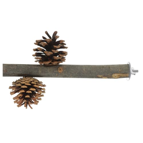 Abaodam Natürliche Vogel kauspielzeug Holz Sitzstange mit Kiefernzapfen Dekor Robustes Papageien Interaktives Vogelkäfig Zubehör für Wellensittiche Papageien Sittiche und Kleinvögel Abaodam Natürliche Vogel kauspielzeug Holz Sitzstange mit Kiefernzapfen Dekor Robustes Papageien Interaktives Vogelkäfig Zubehör für Wellensittiche Papageien Sittiche und Kleinvögel von Abaodam