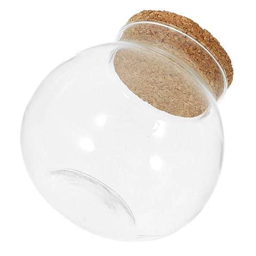 Abaodam Öko-flaschenornamente Hydroponik Im Freien Luftpflanzen Landschaft Flasche Vermehrungspflanzen Drinnen Micro-landschafts-DIY-Flasche Mikro-landschaftsflasche Glas Abaodam Öko-flaschenornamente Hydroponik Im Freien Luftpflanzen Landschaft Flasche Vermehrungspflanzen Drinnen Micro-landschafts-DIY-Flasche Mikro-landschaftsflasche Glas von Abaodam