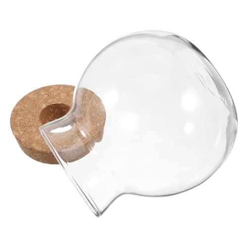 Abaodam Ökologische Flaschenpflanzen Glasterrarium mit Deckel Fischglas Terrarienglas Dekorativer Vase -Füllstoff Desktop-Aquarium Terrarienflasche Holz Transparent von Abaodam