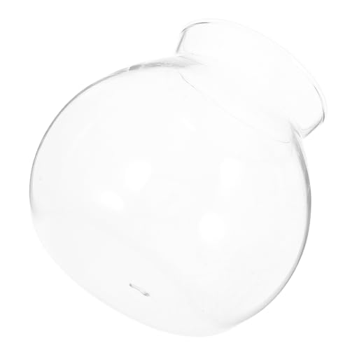 Abaodam Ökologische Mikrolandschaftsflasche Anlage Tischaquarium Mini Tank Pflanzen Fischglas aus Glas Kugeln für deckenventilatoren Glas mit hohem Borosilikatgehalt Transparent von Abaodam