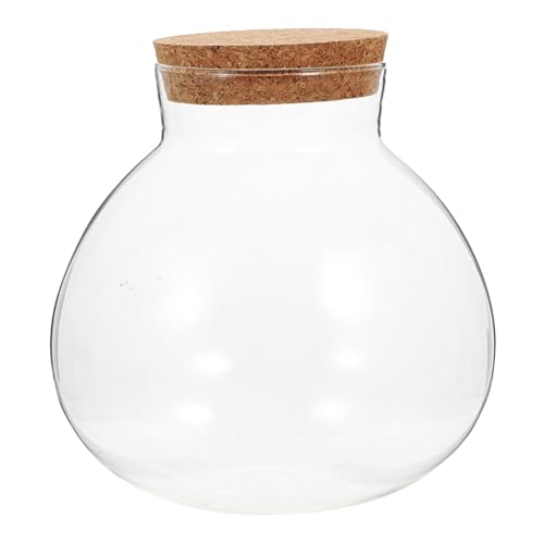 Abaodam Ökologische Mikrolandschaftsflasche Rundes Terrarium Ökosystemflasche Terrarium Globe Jar Moos-landschaftsbauflasche Mit Deckel Transparent Glas von Abaodam