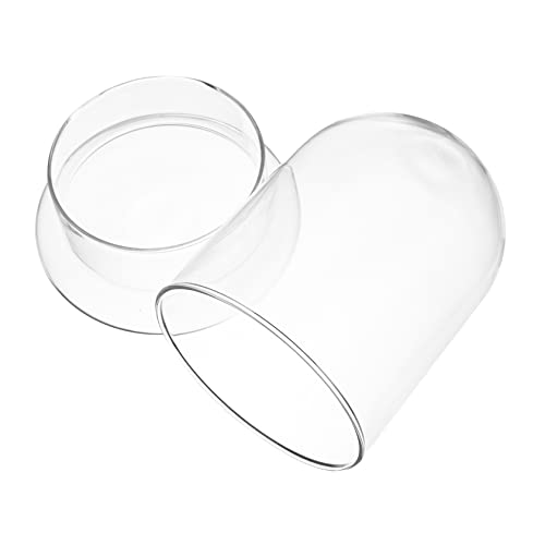 Abaodam Ökologisches Flaschenmoos Klein Mini Form Pflanzen Terrariengläser Terrarienflasche Dekorative Pflanzenglocke Kuppel Moosglas Dekoration Pflanzenterrarium Groß Abaodam Ökologisches Flaschenmoos Klein Mini Form Pflanzen Terrariengläser Terrarienflasche Dekorative Pflanzenglocke Kuppel Moosglas Dekoration Pflanzenterrarium Groß von Abaodam