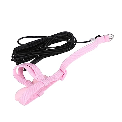 Abaodam Haustiergeschirr Für Papageien Vogelgeschirr Mit Zugseil Elastisches Latexband Kleine Engelsflügeldesign Geeignet Für Ziervögel Und Papageien von Abaodam