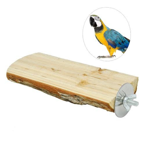 Abaodam Papageien Standplatte Sitzstange für Vogelkäfig Kauspielzeug für Sittiche Nymphensittiche und Andere Kleine Vögel Einfach zu Montieren Fördert Balance und Koordination Abaodam Papageien Standplatte Sitzstange für Vogelkäfig Kauspielzeug für Sittiche Nymphensittiche und Andere Kleine Vögel Einfach zu Montieren Fördert Balance und Koordination von Abaodam