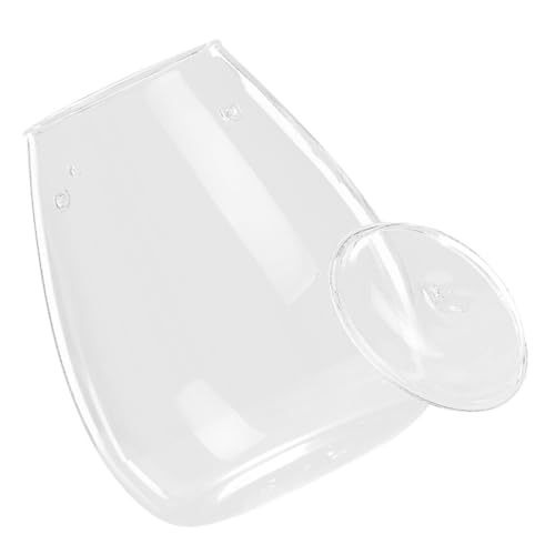 Abaodam Pflanzen Flasche Flaschenterrarium drinnen Pflanzschalen für Terrarien wachsen Sukkulenten Anlage transparente Flasche Glastöpfe für Pflanzen ökologische Flasche von Abaodam