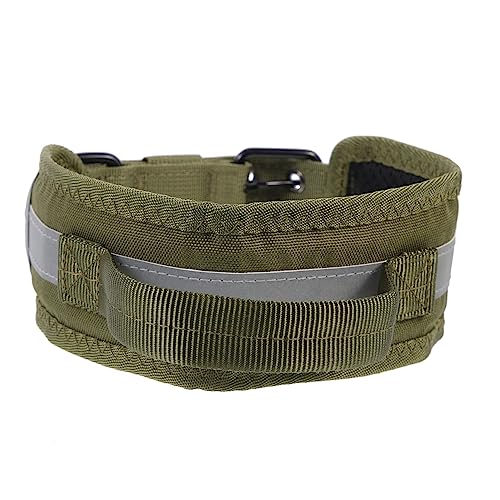 Abaodam Reflektierendes Hundehalsband für Mittlere bis Große Verstellbar für Outdoor Aktivitäten und Sicheres Nachtspazieren Abaodam Reflektierendes Hundehalsband für Mittlere bis Große Verstellbar für Outdoor Aktivitäten und Sicheres Nachtspazieren von Abaodam