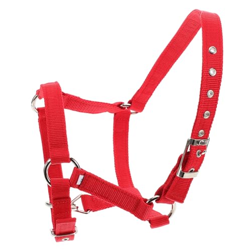 Abaodam Reittraining Für Wadenhalfter Wegbrechendes Pferdehalfter Seilhalfter Schafhalter Kinnriemenabdeckung Gepolstertes Pferdehalfter Pferdeleine Pferdekostüm Rot Nylon von Abaodam