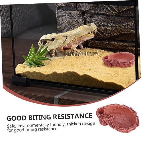 Abaodam Reptilien Futter und Wasserschale aus Robustem Harz Naturnahe Futterstation Dunkelrot Umweltfreundlich Geeignet für Geckos Eidechsen und Kleine Haustiere Aquarium Deko Abaodam Reptilien Futter und Wasserschale aus Robustem Harz Naturnahe Futterstation Dunkelrot Umweltfreundlich Geeignet für Geckos Eidechsen und Kleine Haustiere Aquarium Deko von Abaodam