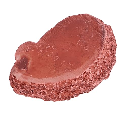 Abaodam Reptilien Futternapf aus Resin Robust und Umweltfreundlich mit Glatter Oberfläche Dekoratives Futter und Wasserschälchen für Eidechsen Geckos und Kleine Haustiere Dunkles Rot von Abaodam