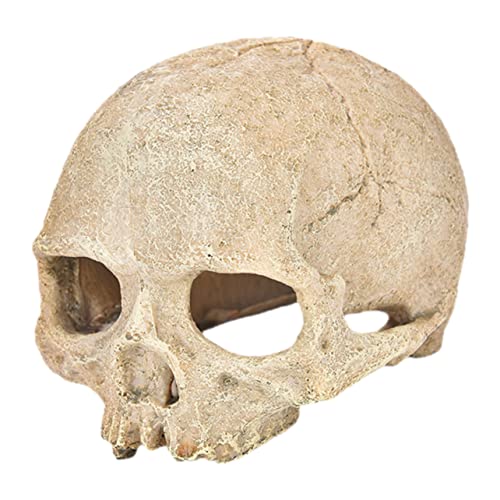 Abaodam Reptilien Versteck Skull Aquarium Dekoration Harz Kopf Unterschlupf für Fische und Garnelen Langlebig und Wasserfest für Aquarien und von Abaodam