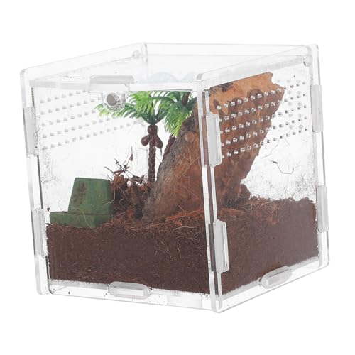 Abaodam Spinnenbox Für Haustiere Sprungspinnengehege Stapelbares Reptilienterrarium Kleines Reptilienbecken Kleines Terrarium Schildkrötelebensraum Haustierkäfig Tarantula -gehäuse Acryl von Abaodam
